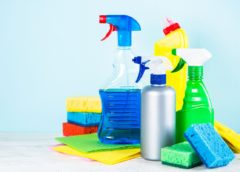Бытовая химия — необходимая часть многих домашних хозяйств