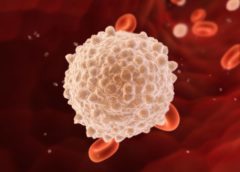 Как очистить кровь в организме — Полезная информация